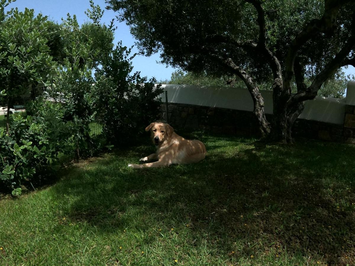 Nefeli Villas Hersonissos  Luaran gambar