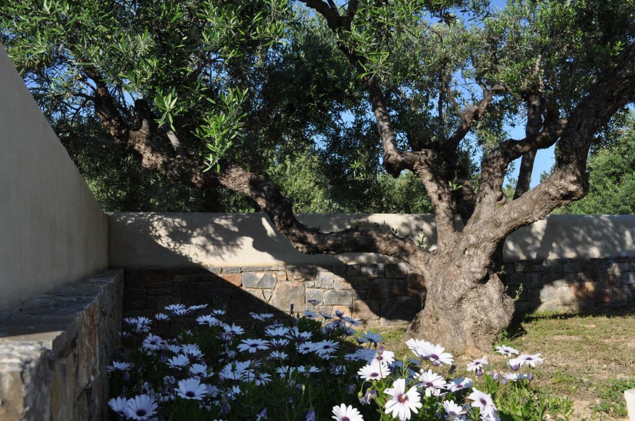 Nefeli Villas Hersonissos  Luaran gambar